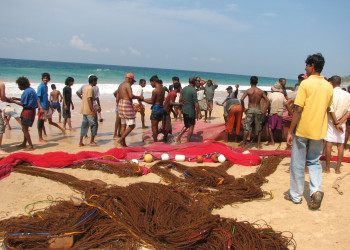 Галле, Шри-Ланка, фото № 50960 – фотографии Шри-Ланки