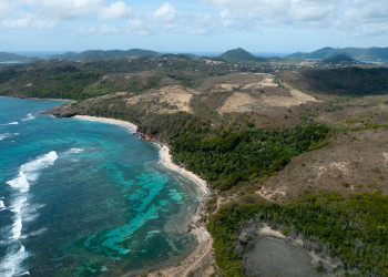 Мартиника. Фото 4 – фотографии Мартиники