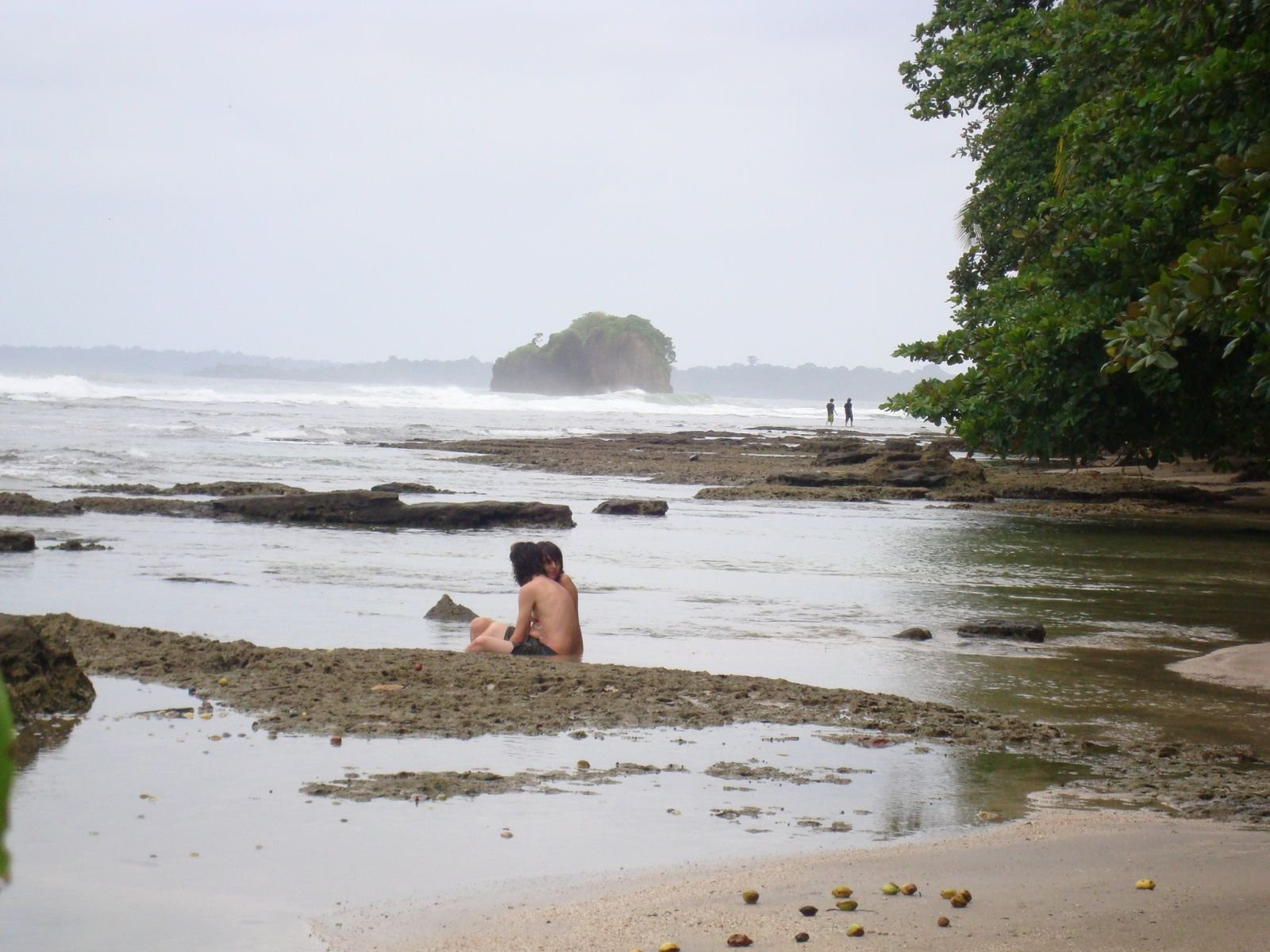 Пуэрто Вьехо, Лимон провинция, Коста-Рика, фото № 40208 – фотографии Коста-Рики