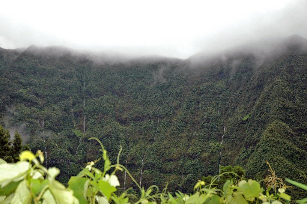 Плень-де-Палмист, Реюньон, фото № 25643 – фотографии Реюньона