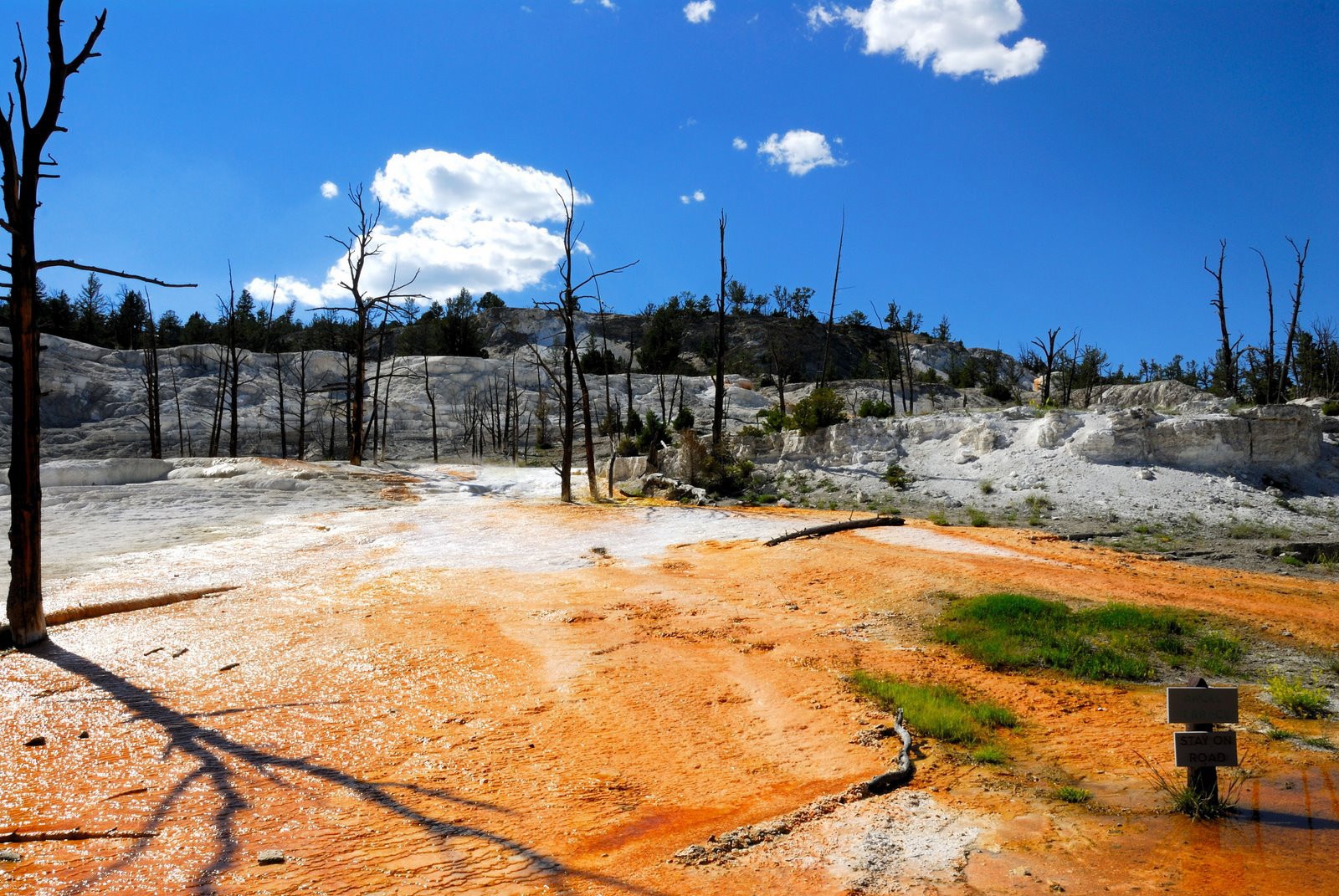 Национальный парк Йеллоустон. Фото 4 – фотографии США