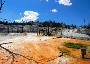 Национальный парк Йеллоустон. Фото 4 – фотографии США