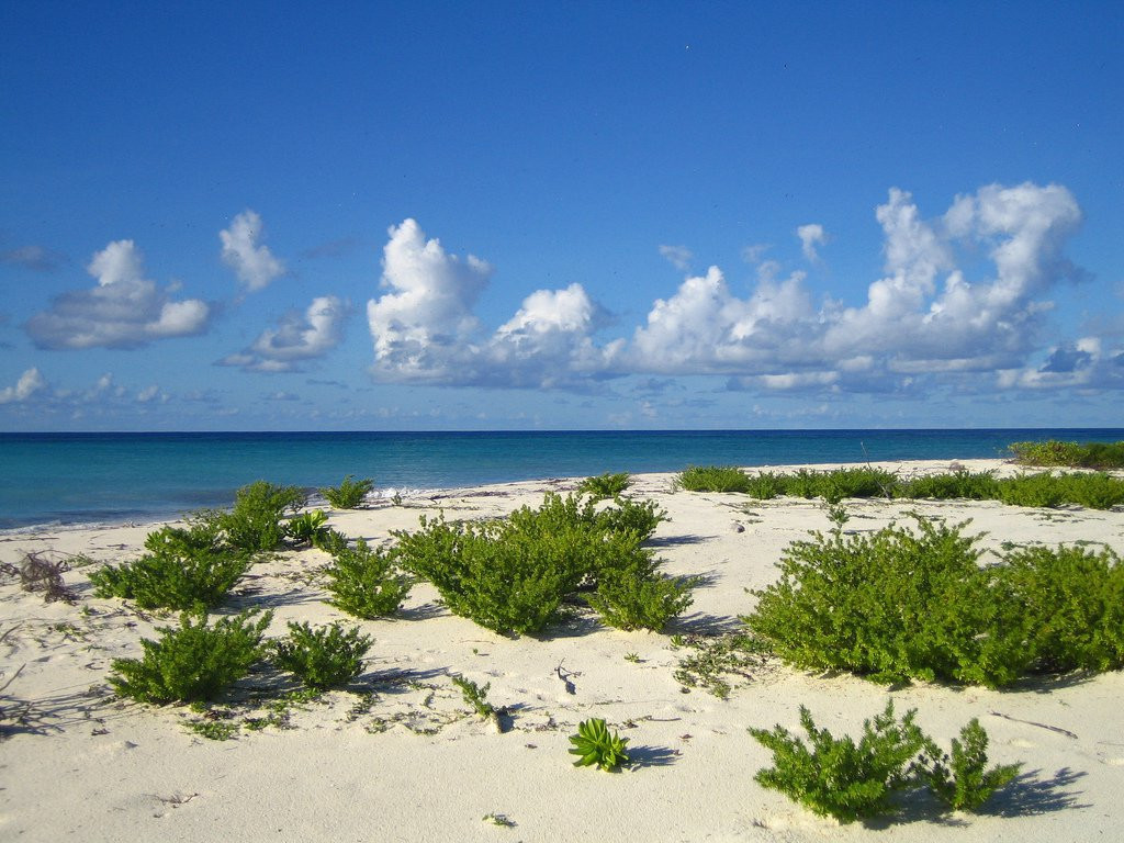Остров Бёрд. Фото 3 – фотографии Сейшельских островов