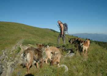 Горы в Болгарии. Фото 5 – фотографии Болгарии