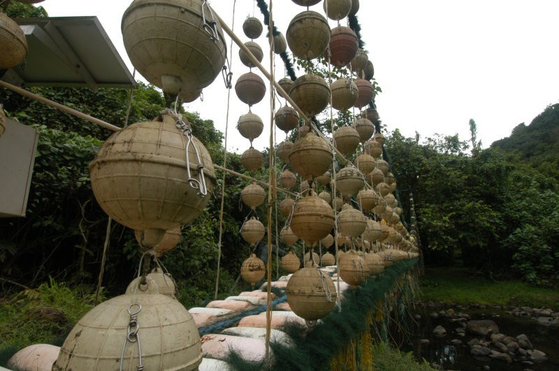 о.Кокос, Пунтаренас провинция, Коста-Рика, фото № 40861 – фотографии Коста-Рики