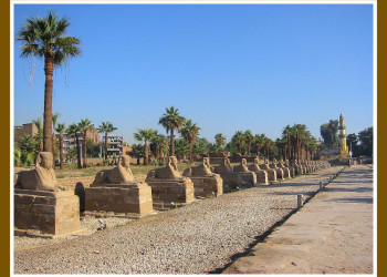 Луксор, Египет, фото № 35278 – фотографии Египта