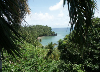 Самана, Доминикана, фото № 30636 – фотографии Доминиканы