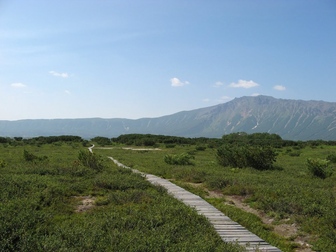 Национальный парк в Долине гейзеров, Россия. Фото 5 – фотографии России