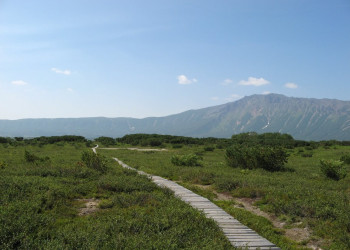 Национальный парк в Долине гейзеров, Россия. Фото 5 – фотографии России
