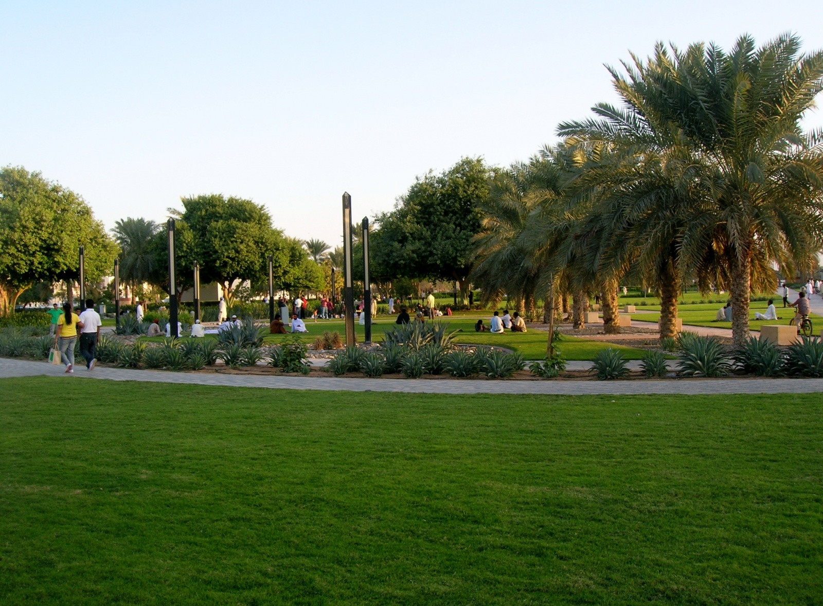 Парк в Аль-Айн, ОАЭ – фотографии ОАЭ