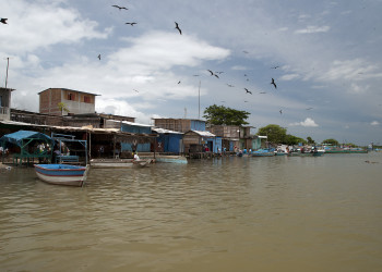 Пуэрто-Писарро – фотографии Перу