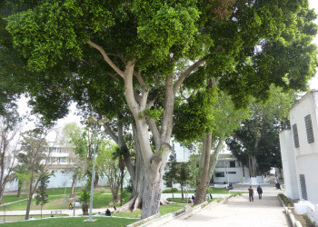 Улица Танжера, Марокко – фотографии Марокко