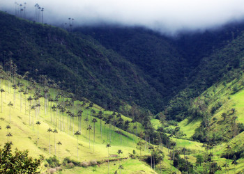 Долина Кокора. Фото 3 – фотографии Колумбии