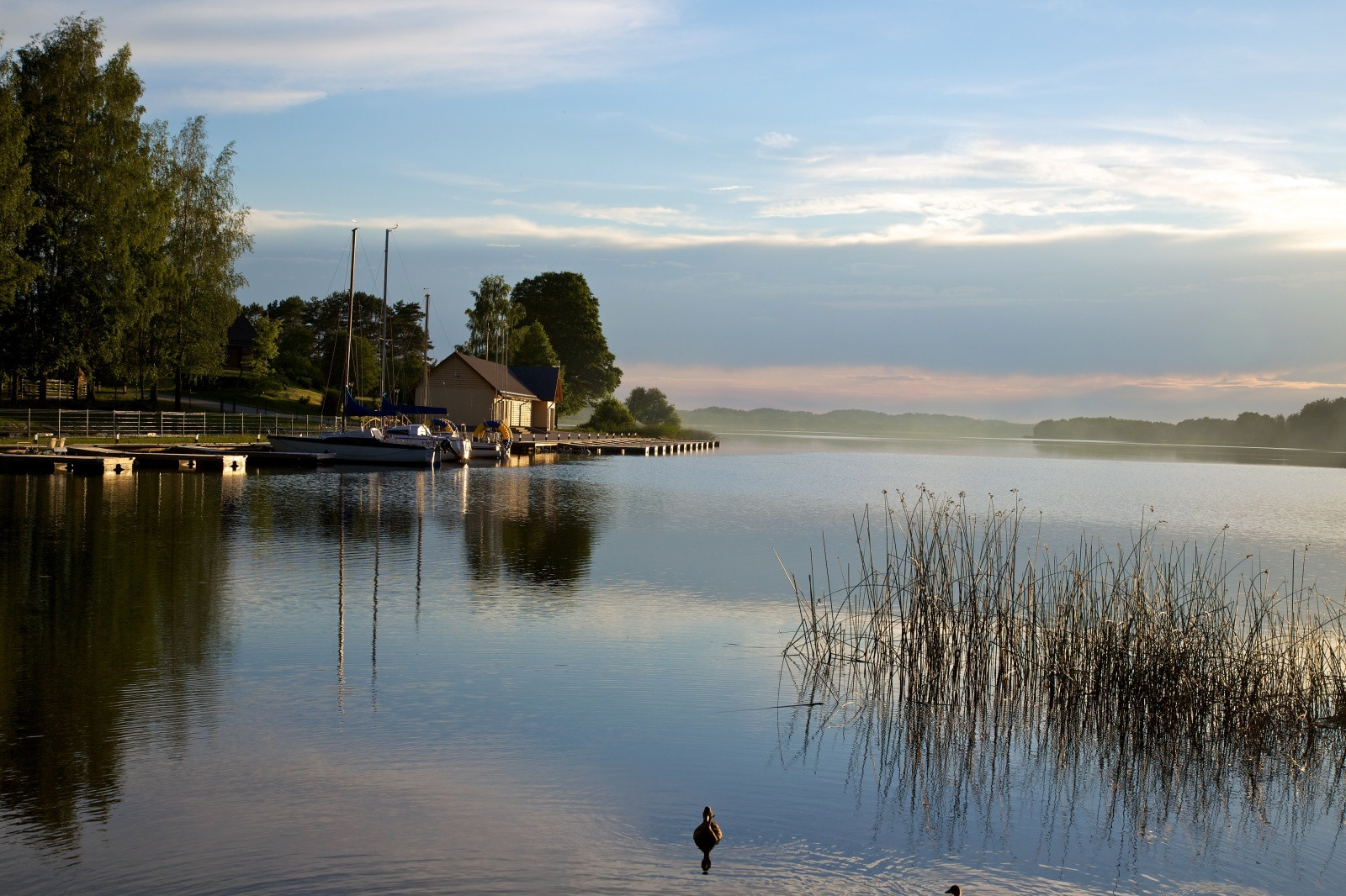 Озеро Лушяй – фотографии Литвы