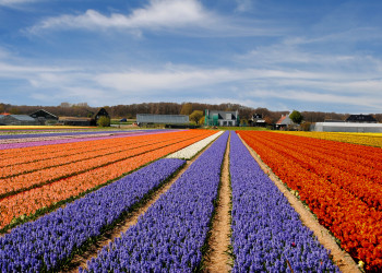 Путешествуем по Голландии. Фото 1 – фотографии Нидерландов