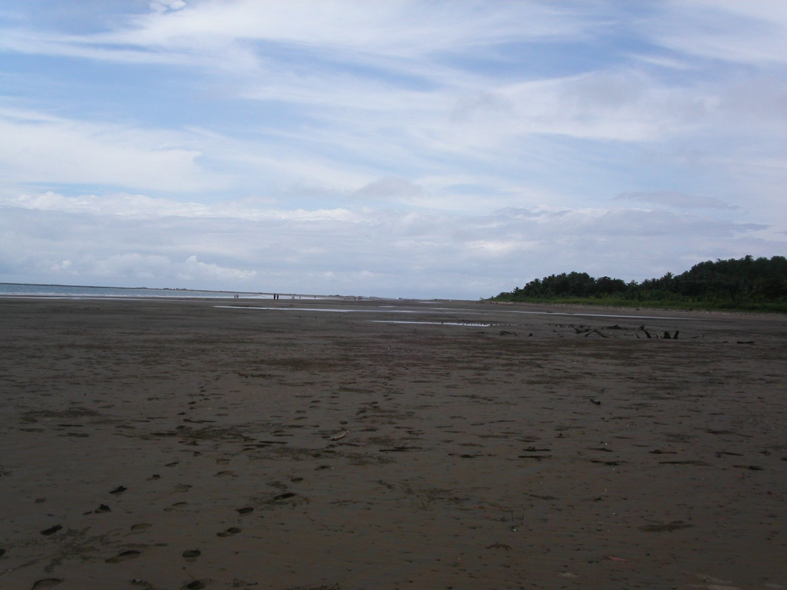 Плайя Увита, Пунтаренас провинция, Коста-Рика, фото № 40979 – фотографии Коста-Рики