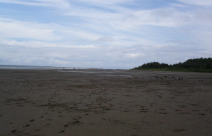 Плайя Увита, Пунтаренас провинция, Коста-Рика, фото № 40979 – фотографии Коста-Рики