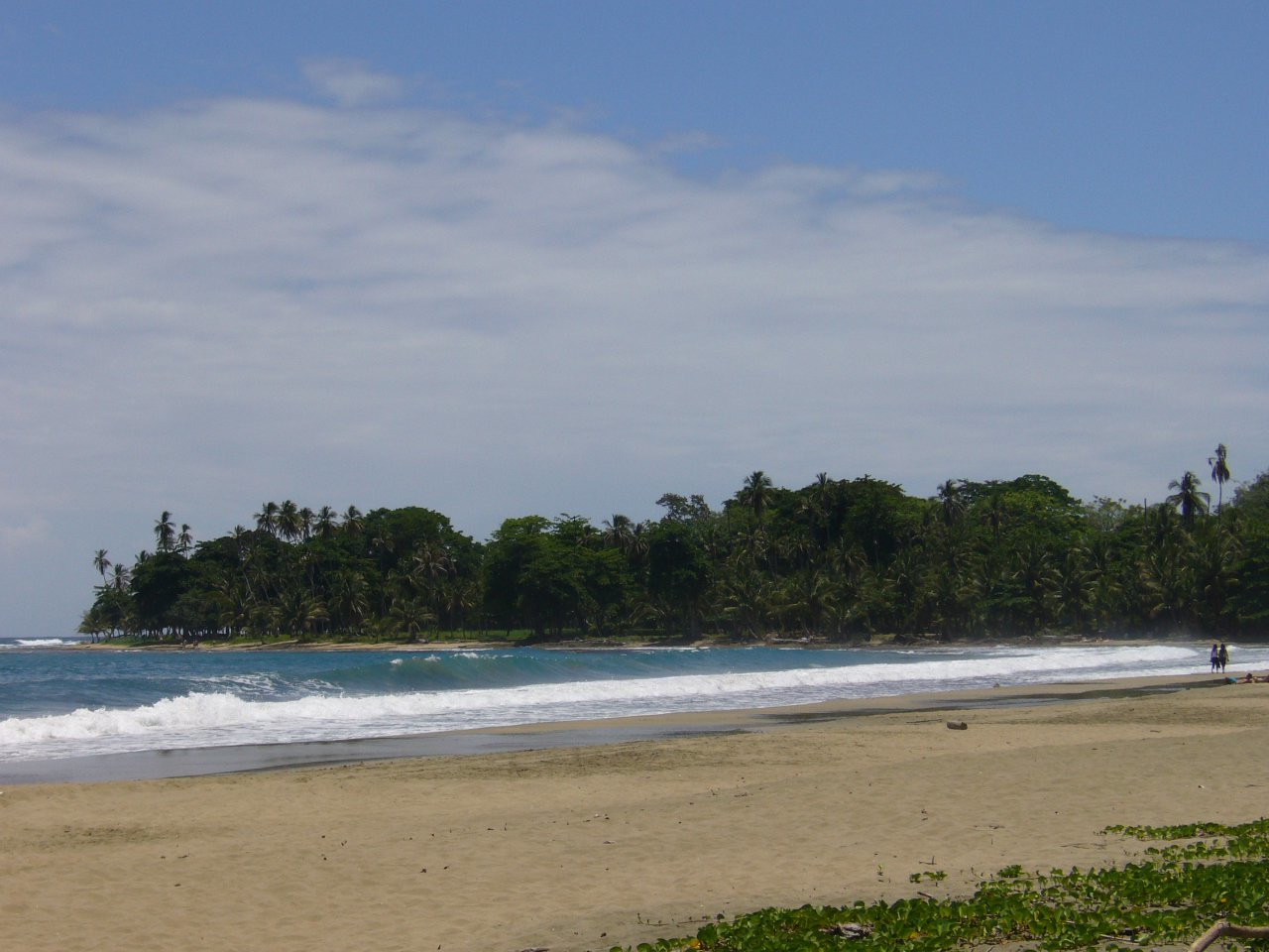 Пуэрто Вьехо, Лимон провинция, Коста-Рика, фото № 40188 – фотографии Коста-Рики