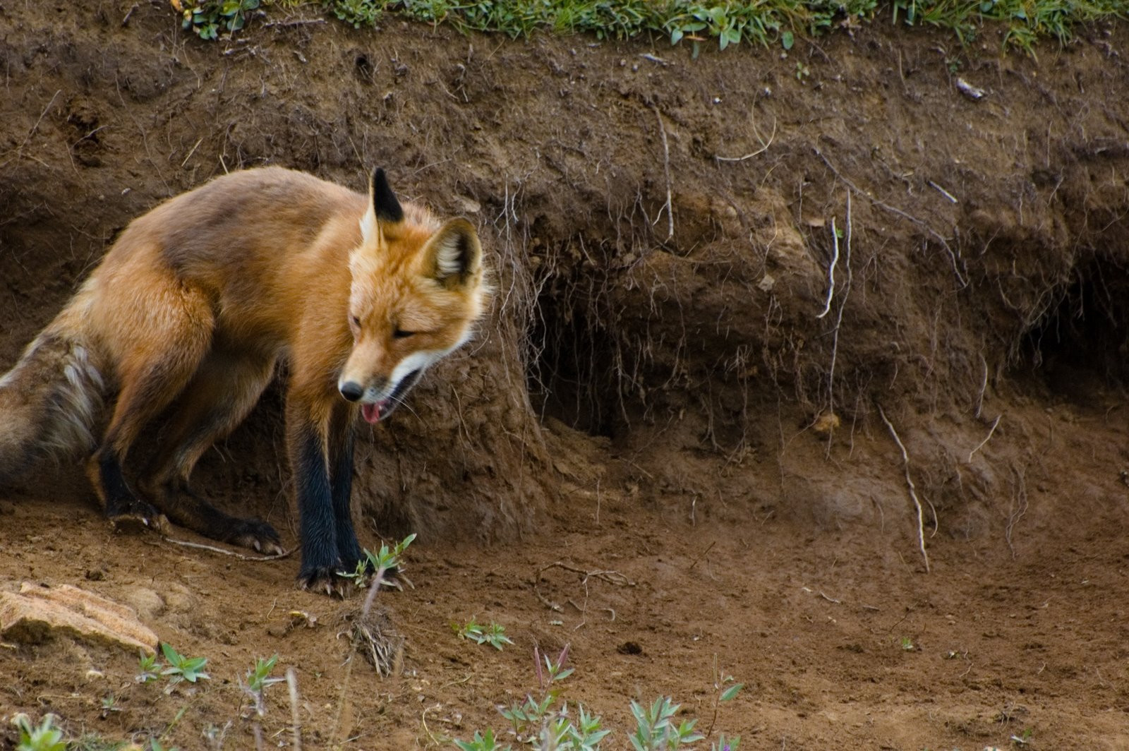 Аляска штат, США, фото № 67697 – фотографии США