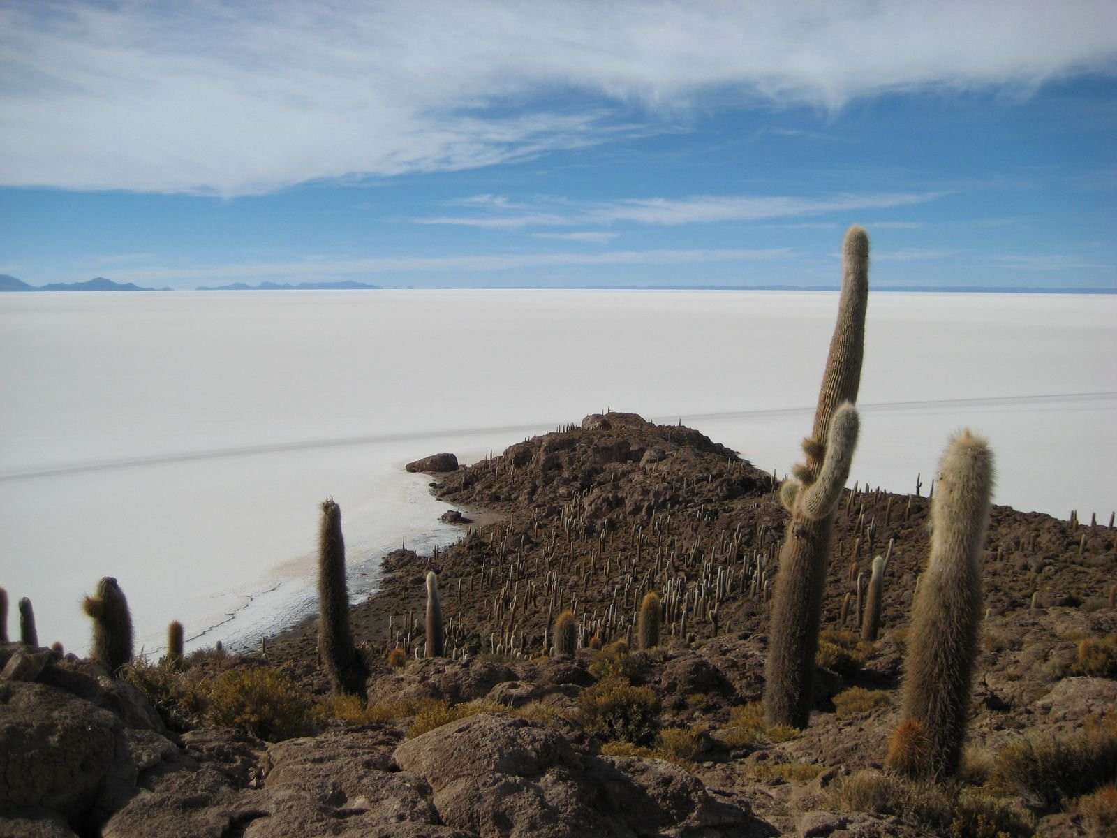 Уюни солончак, Боливия, фото № 70375 – фотографии Боливии