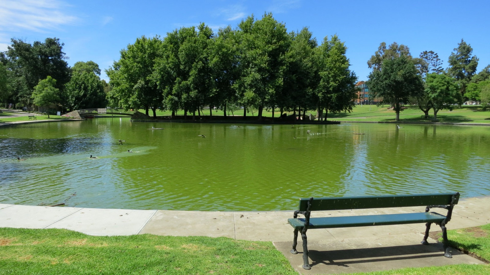 Аделаида (Adelaide), фото 5 – фотографии Австралии