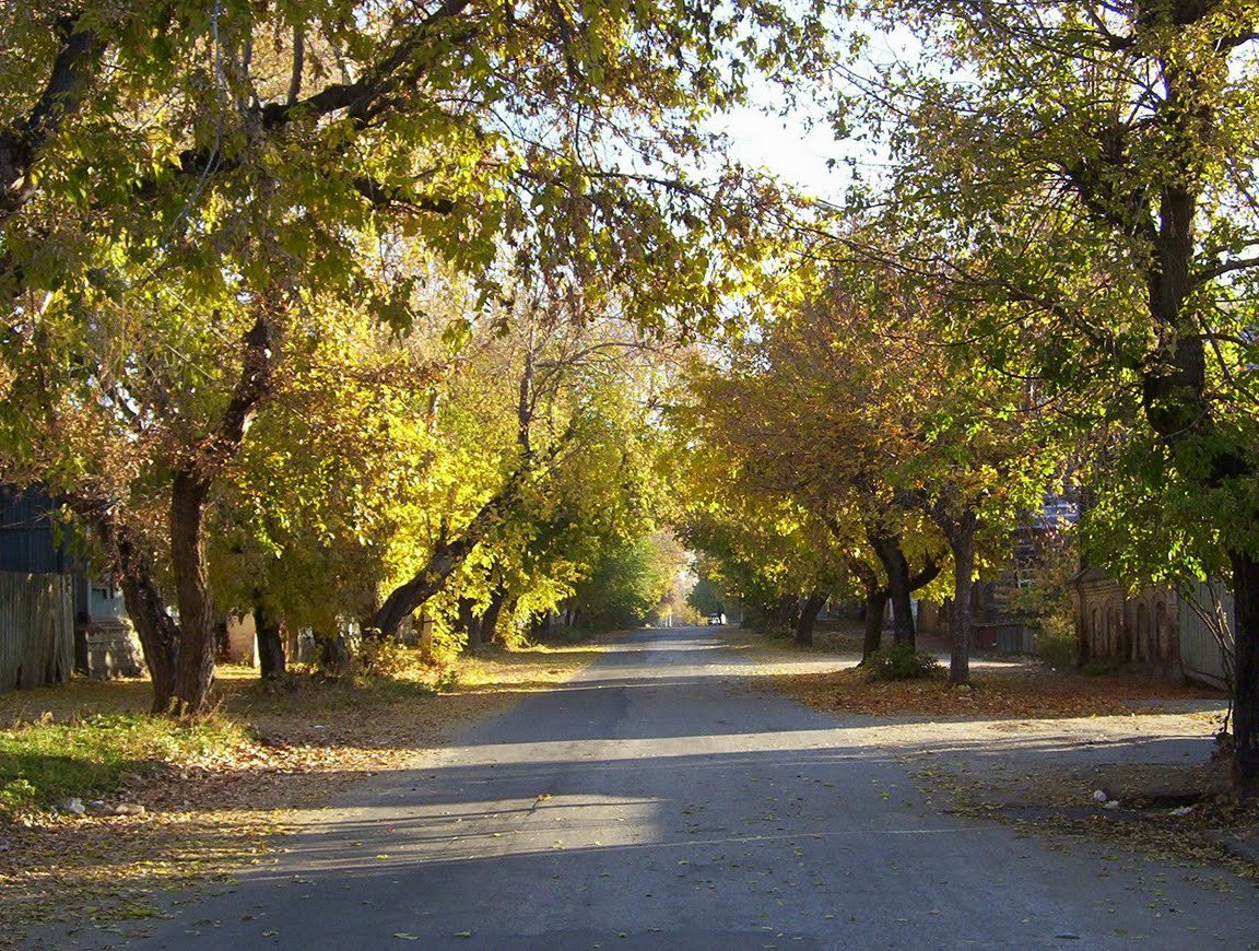 Улица в Кургане, Россия. Фото 4 – фотографии России