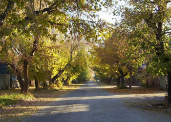 Улица в Кургане, Россия. Фото 4 – фотографии России