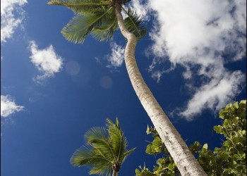 Байяибе, Доминикана, фото № 30230 – фотографии Доминиканы