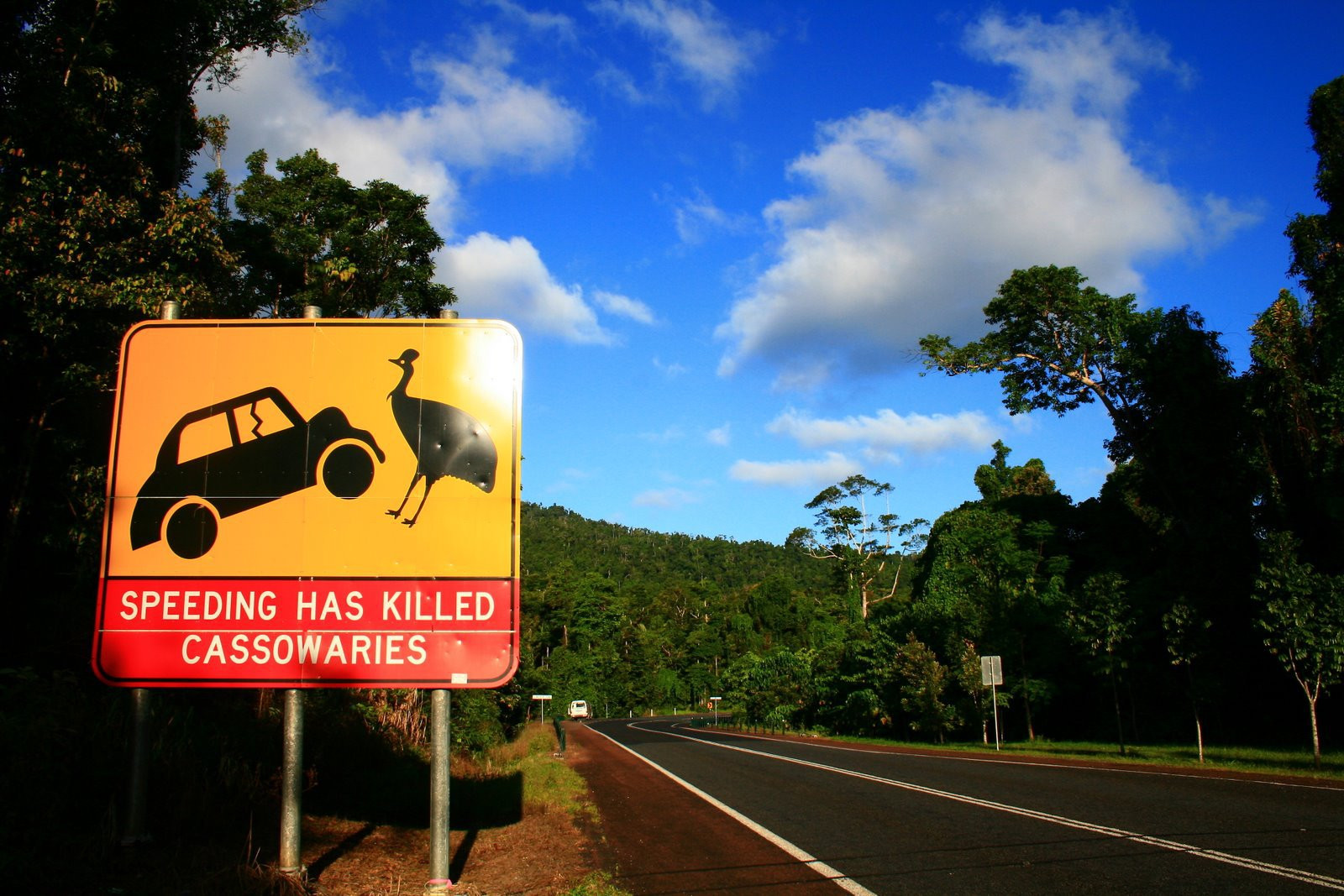 Дорога в Австралии – фотографии Австралии