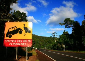 Дорога в Австралии – фотографии Австралии