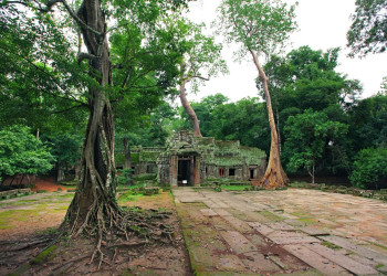 Ангкор-Ват (Angkor Wat) – фотографии Камбоджи