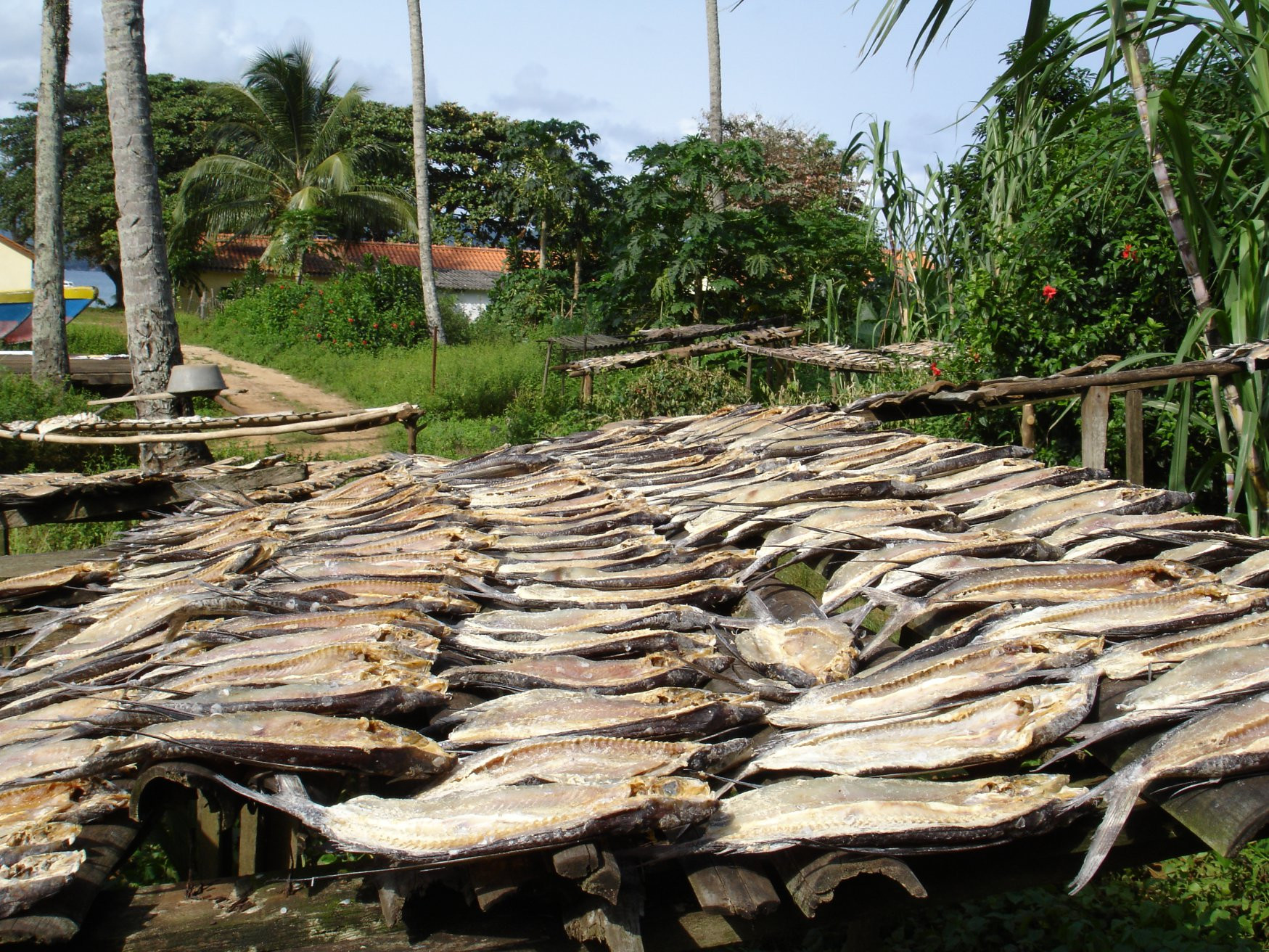 Ролаш остров, Сан Томе остров, Сан-Томе и Принсипи, фото № 58626 – фотографии Сан-Томе и Принсипи
