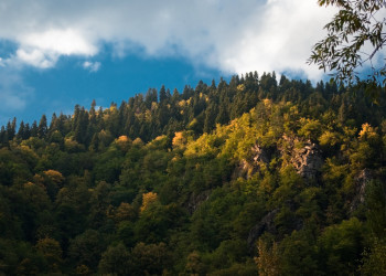 Природа Абхазии. Фото 8 – фотографии Абхазии