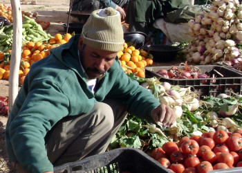 Тарудант, Марокко, фото № 8080 – фотографии Марокко