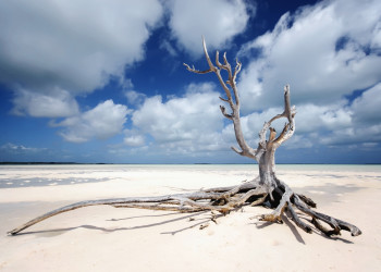Пляж на острове Харбор Айленд, Багамские острова. Фото 13 – фотографии Багамских островов