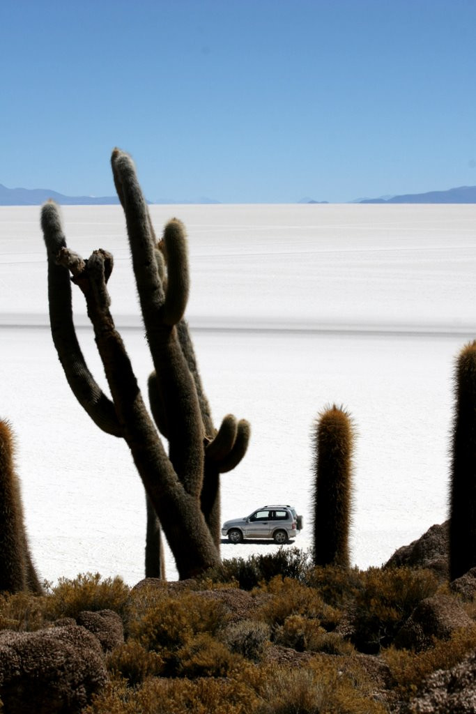 Солончак Уюни (Salar de Uyuni) – фотографии Боливии