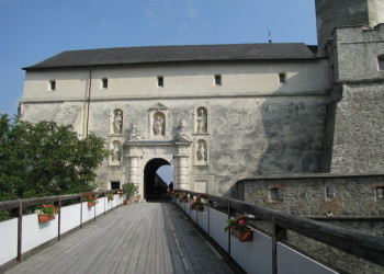 Замок Форхтенштайн (Маттерсбург) – фотографии Австрии