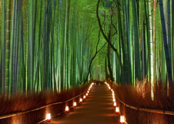 Арасияма – одна из достопримечательностей Киото – фотографии Японии