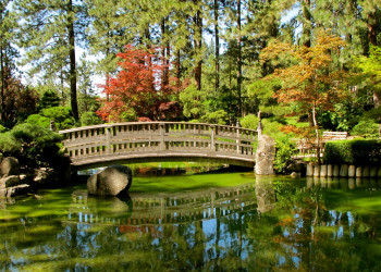Сад Клода Моне (Jardin de Claude Monet) в Живерни, Руана, Франция – фотографии Франции