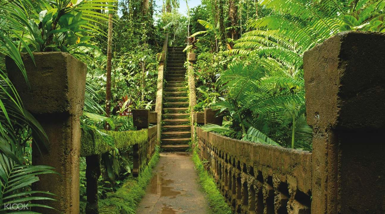 Приключенческий парк Паронелла в Австралии – фотографии Австралии