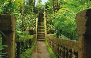 Приключенческий парк Паронелла в Австралии – фотографии Австралии