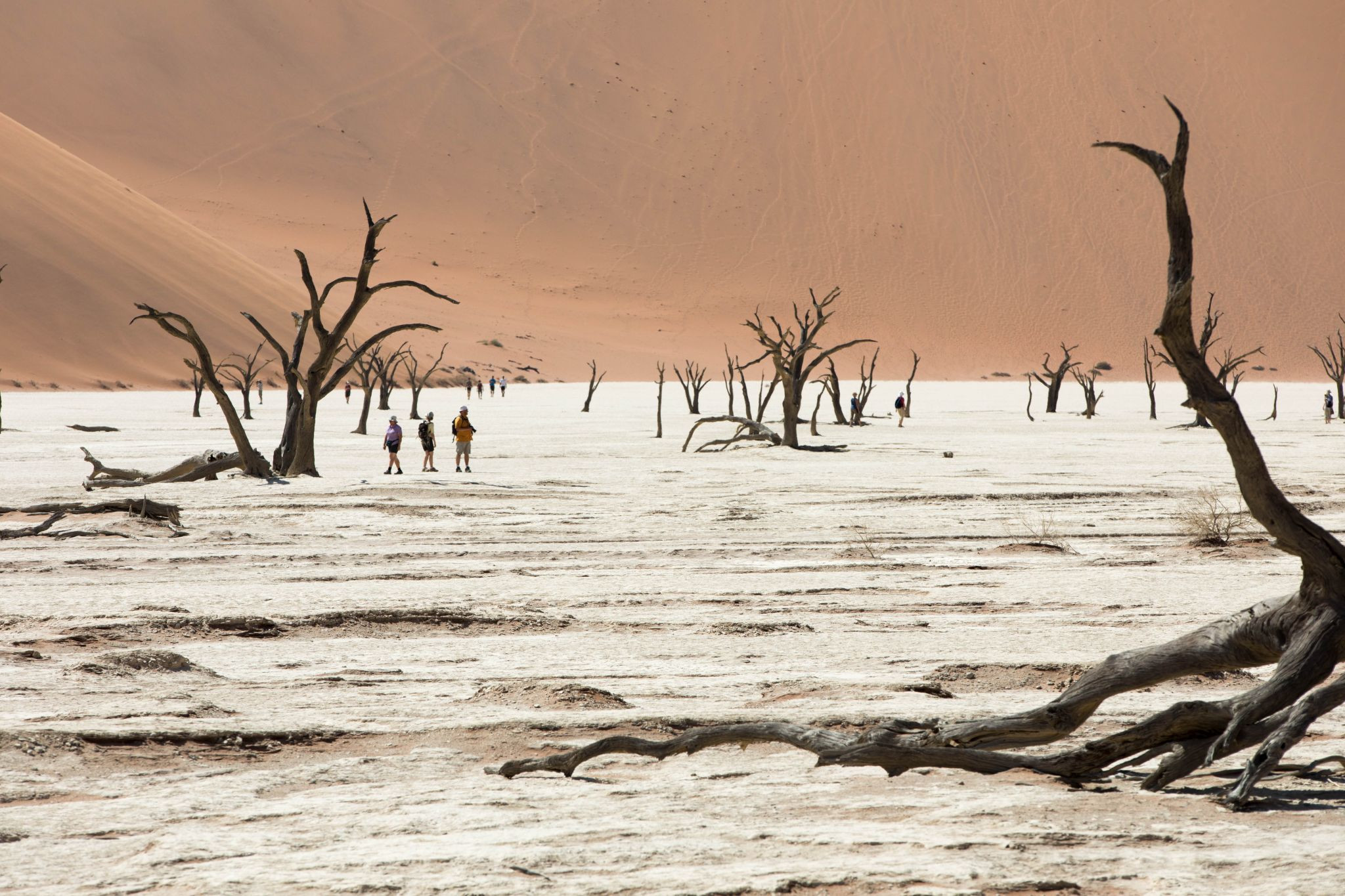 Знаменитая мёртвая долина в Намибии – фотографии Намибии