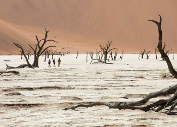 Знаменитая мёртвая долина в Намибии – фотографии Намибии