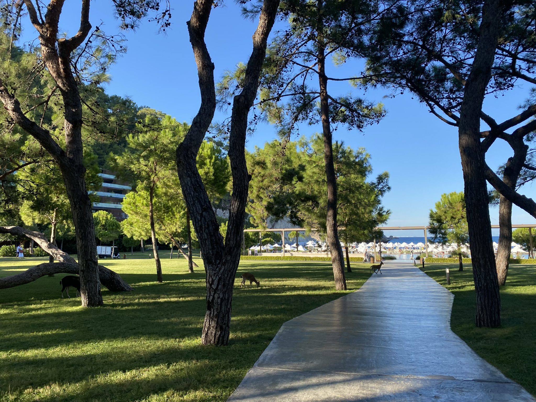 На территории отеля Maxx Roayl Kemer в Турции – фотографии Турции