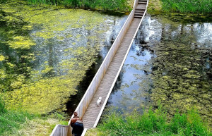 Мост Моисея (Moses Bridge) в Голландии – фотографии Нидерландов