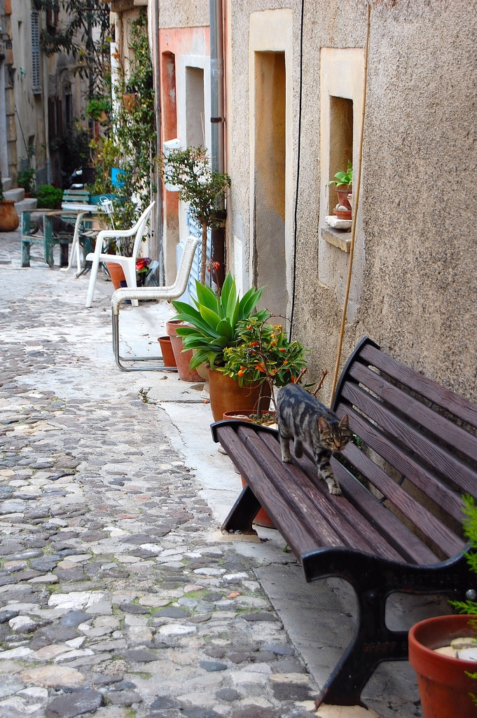 Улица в Биоте, Франция – фотографии Франции