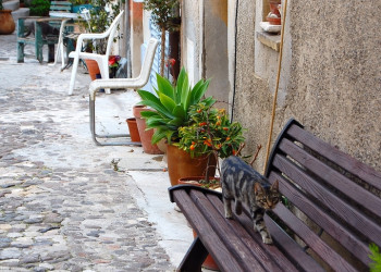 Улица в Биоте, Франция – фотографии Франции