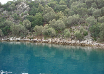 Мармарис, Эгейский регион, Турция, фото № 48032 – фотографии Турции