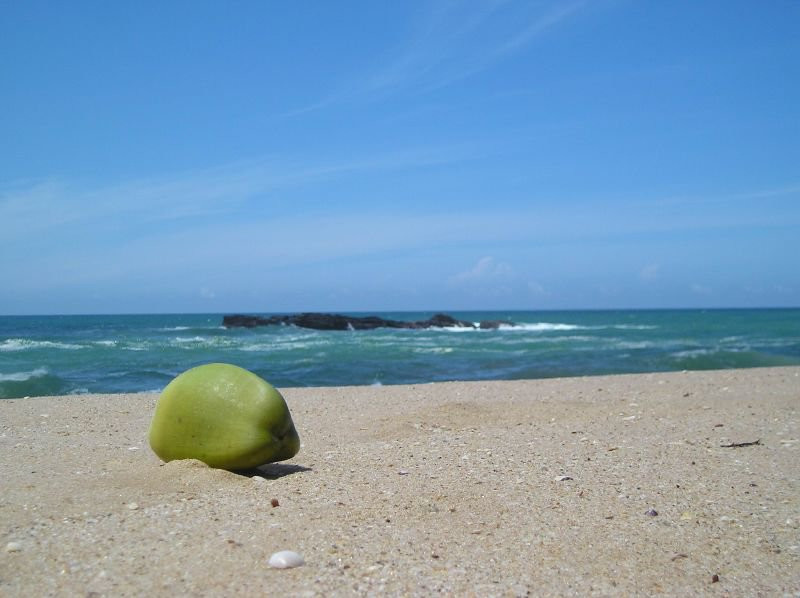 Тангалле, Шри-Ланка, фото № 52352 – фотографии Шри-Ланки