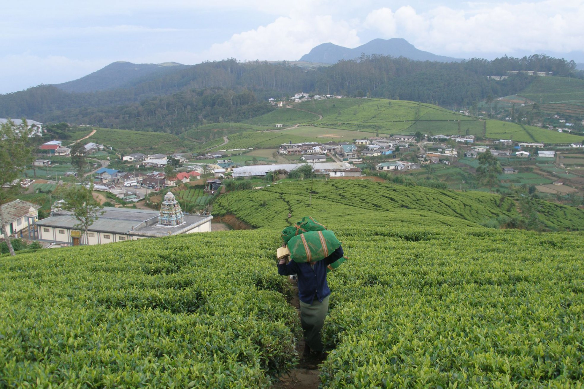 Нувара Элия, Шри-Ланка, фото № 52084 – фотографии Шри-Ланки